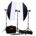 Lampu Studio Golden Eagle 3 Lamp